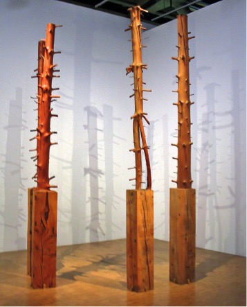 Giuseppe Penone, Alberi, 1969, legno